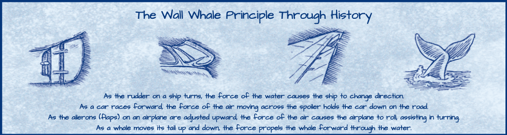 The Wall Whale Principle Through History