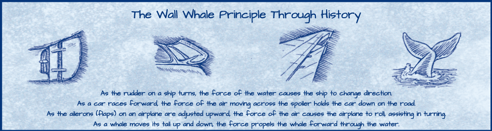 Wall Whale Swimming Pool Brush Principle Through History